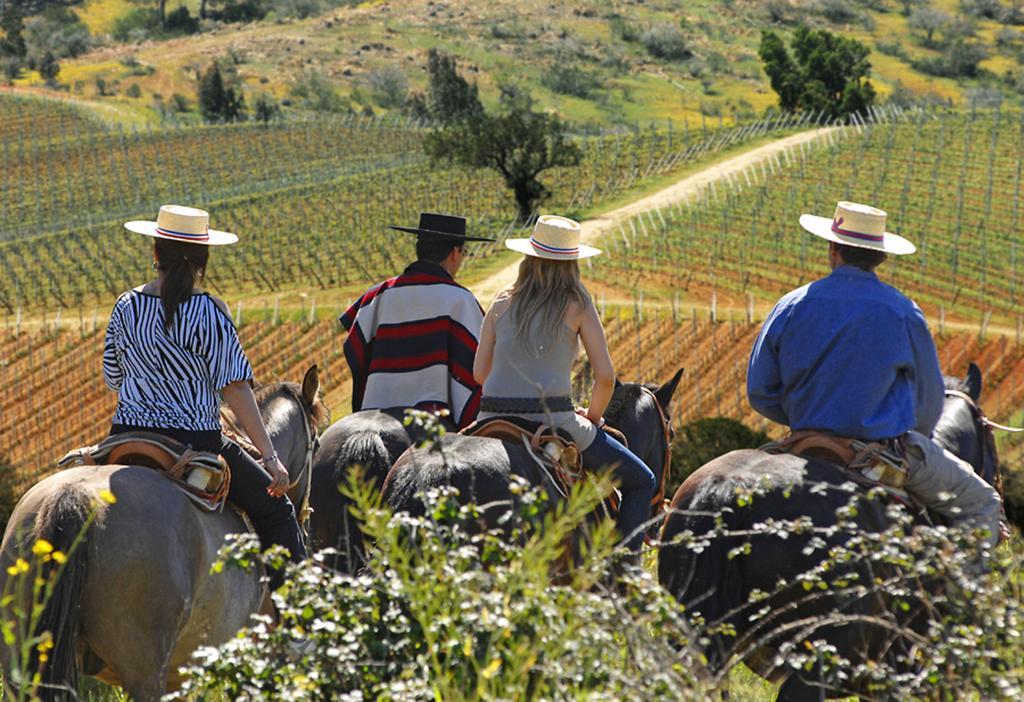 La Casona At Matetic Vineyards Lagunillas